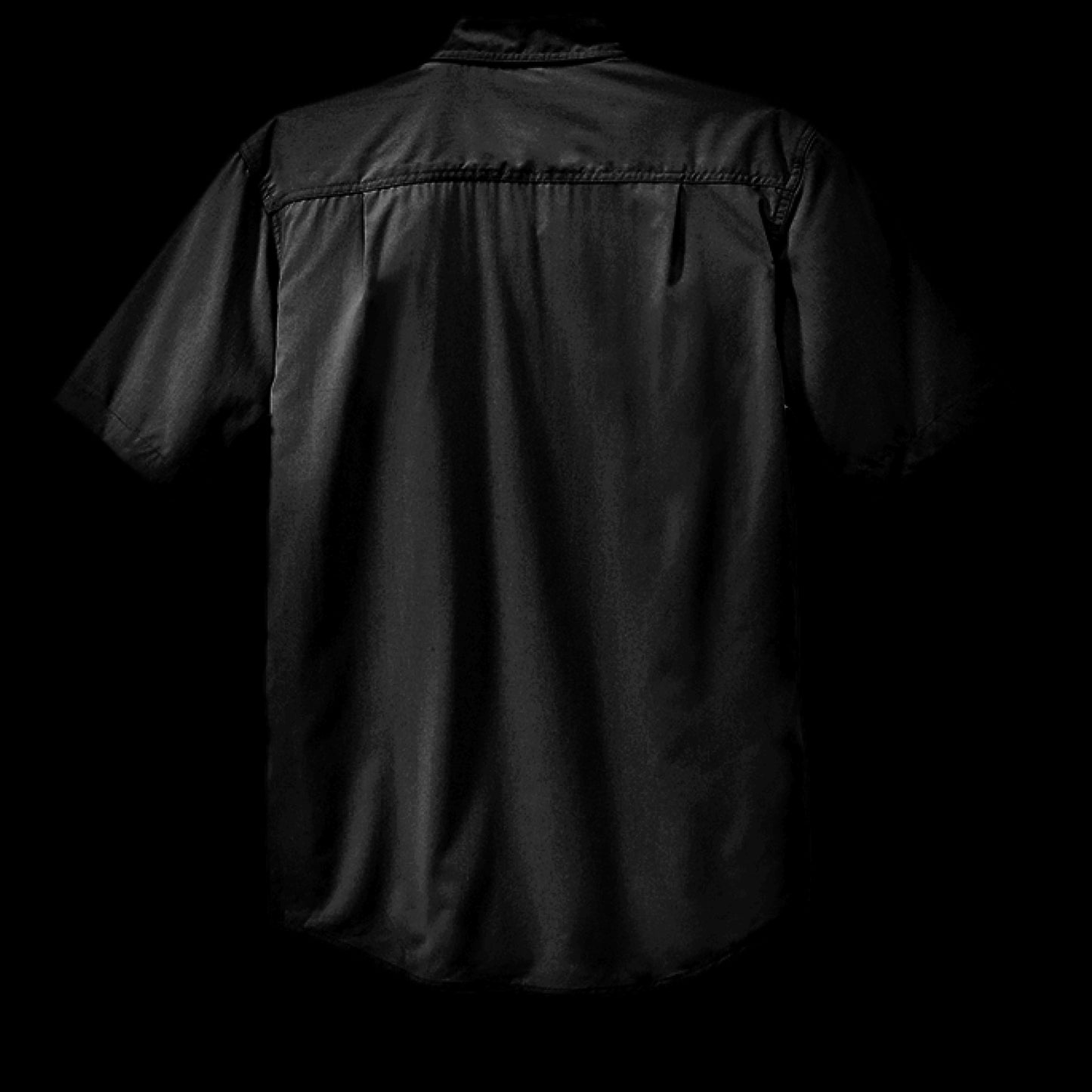 Burnt Olive - BACK